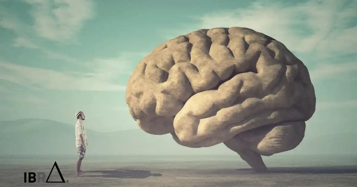 The brain's focus is a fragile system — and stimulants break it faster than they fix it